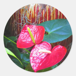 Blume Blumenbeete Fotos von Longwood Gardens Runder Aufkleber