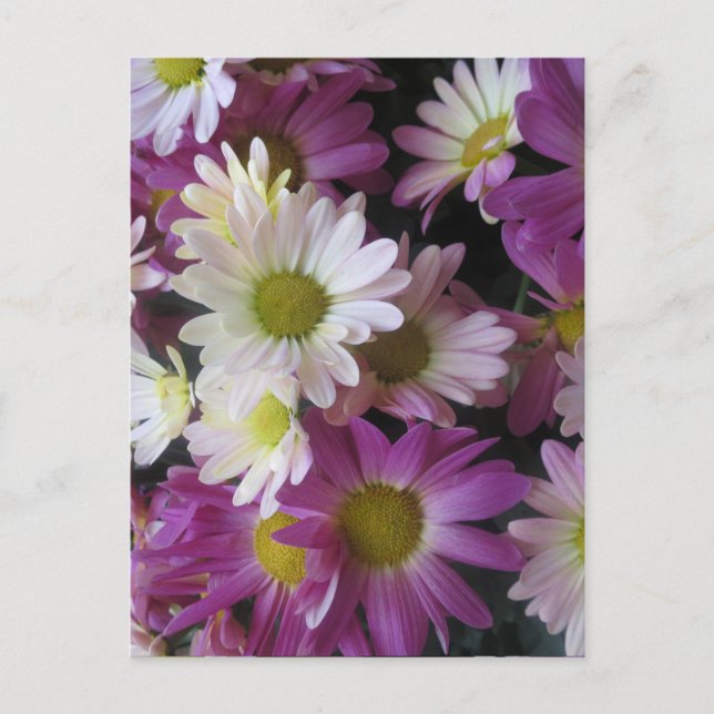 BLUME Blumenstrauß-Schmetterlings-Garten: Elegante Postkarte (Vorderseite)