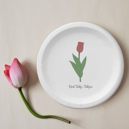 Blume Botanical Red Tulip Pastel Pappteller