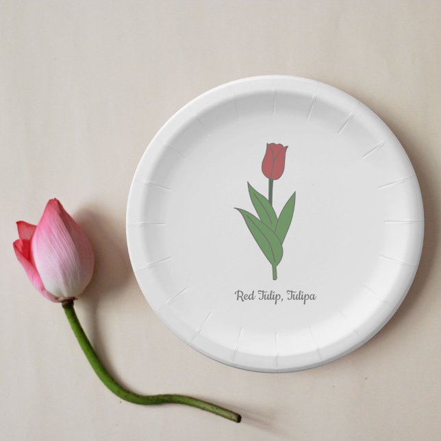 Blume Botanical Red Tulip Pastel Pappteller (Botanical Red Tulip Paper Plates)
