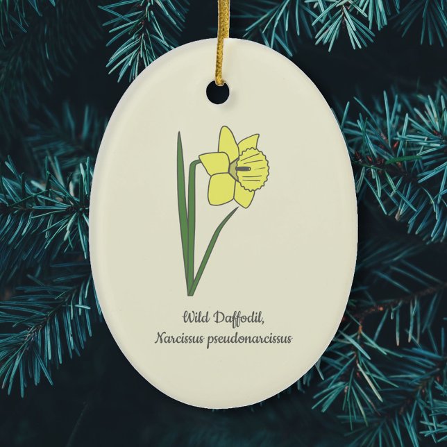 Blume Botanical Wild Daffodil Pastel Keramik Ornament (Botanical Wild Daffodil Ornament)