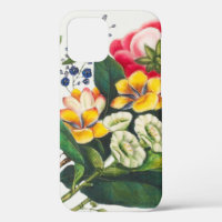 Blume Botany Illustration
