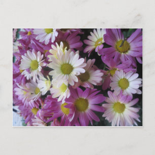 BLUME Bouquet Butterfly Garden: Elegante Geschenke Postkarte
