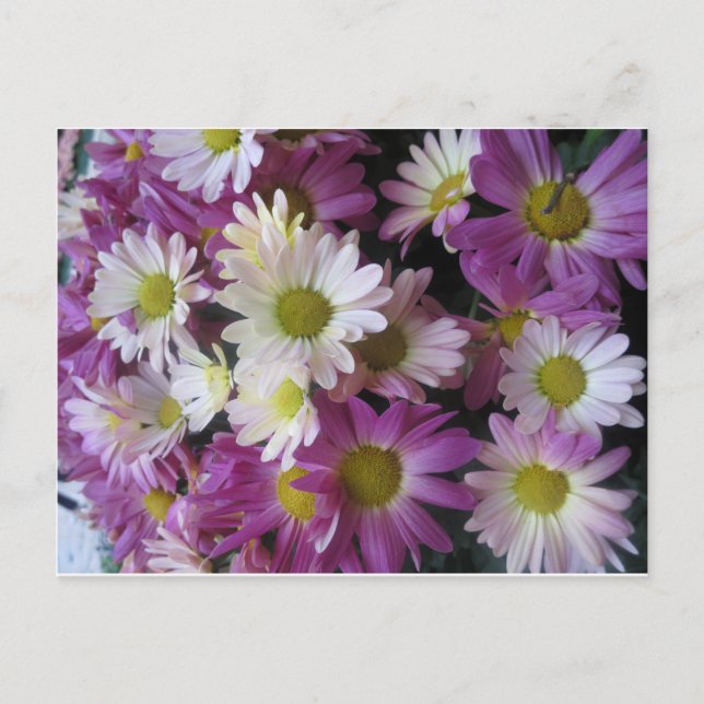 BLUME Bouquet Butterfly Garden: Elegante Geschenke Postkarte (Vorderseite)