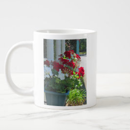 Blume Box Geraniums - Martha's Vineyard Jumbo-Tasse