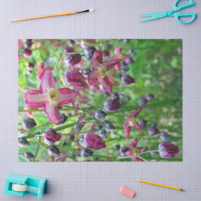 Blume & Bugs-Papiere Seidenpapier (Basteln)