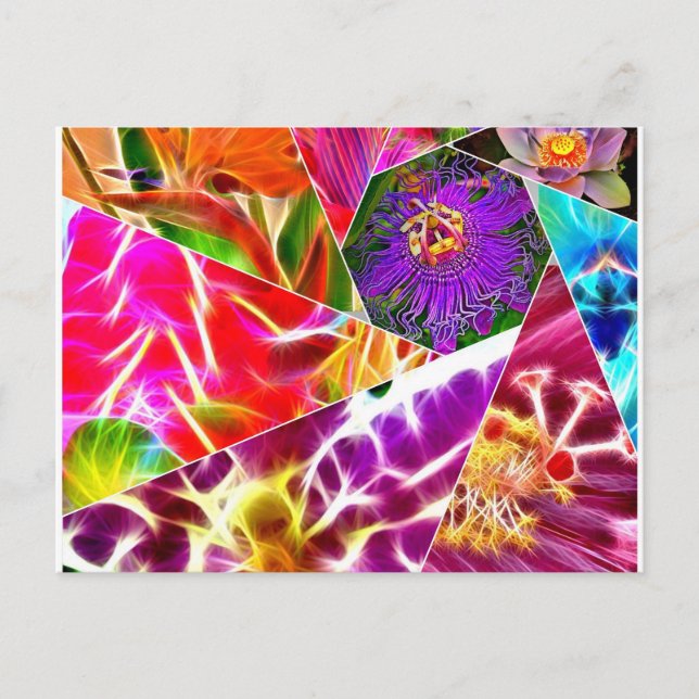 Blume Burst Postkarte (Vorderseite)