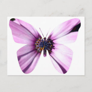Blume Butterfly Postkarte