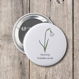 Blume Button