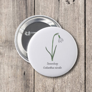 Blume Button