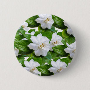 Blume Button