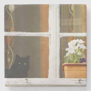 Blume by window, Sighisoara, Rumänien Steinuntersetzer