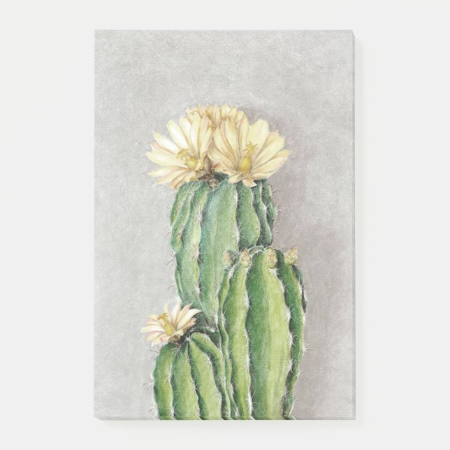Blume Cactus Post-it Klebezettel (Vorderseite)
