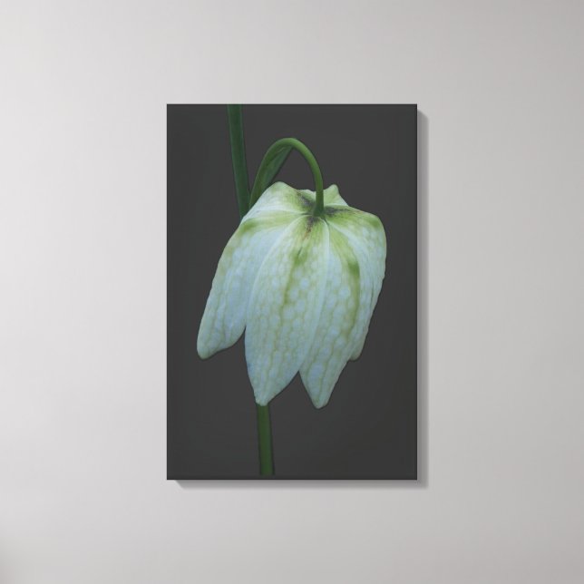 Blume Canvas Leinwanddruck (Vorderseite)