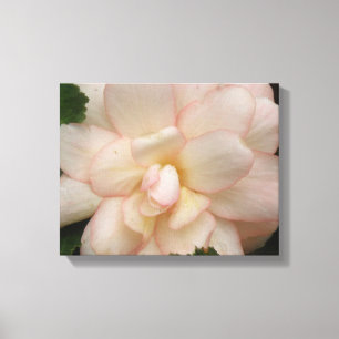 Blume Canvas Print Leinwanddruck