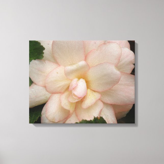 Blume Canvas Print Leinwanddruck (Vorderseite)