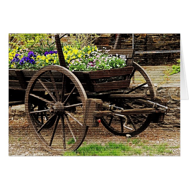Blume Cart (Vorderseite (Horizontal))
