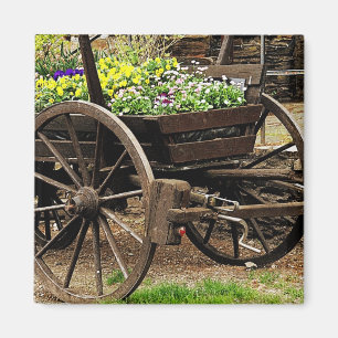 Blume Cart Magnet