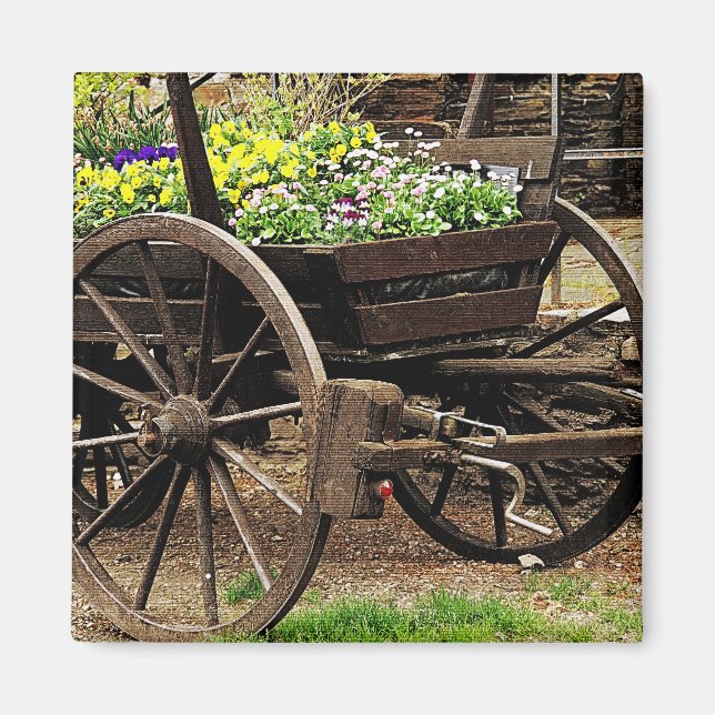 Blume Cart Magnet (Vorne)