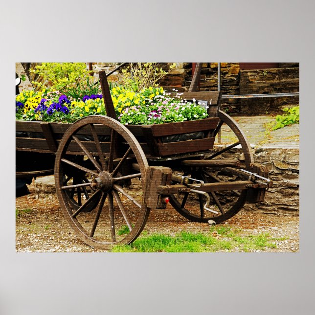 Blume Cart Poster (Vorne)
