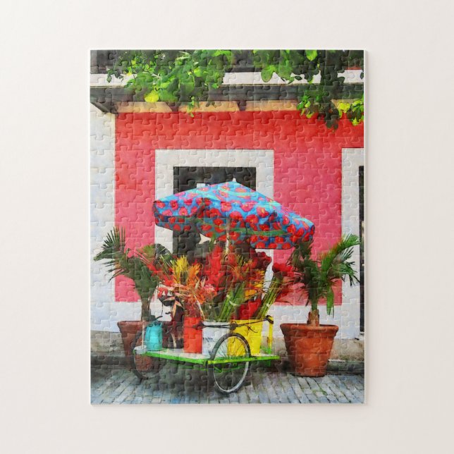 Blume Cart San Juan, Puerto Rico (Vertikal)