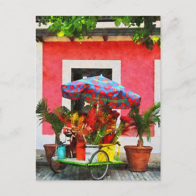 Blume Cart San Juan, Puerto Rico Postkarte (Vorderseite)