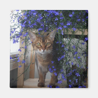 Blume Cat Magnet