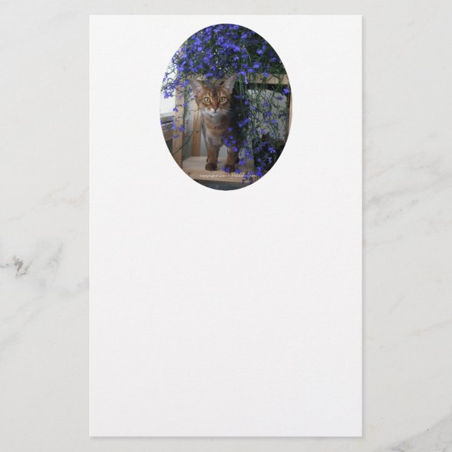 Blume Cat Oval (Vorderseite)