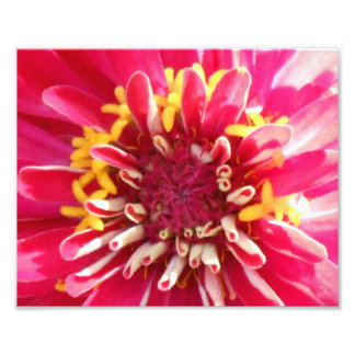 Blume-Center-Schließung Fotodruck