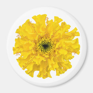 Blume Chemie Magnet Marigold