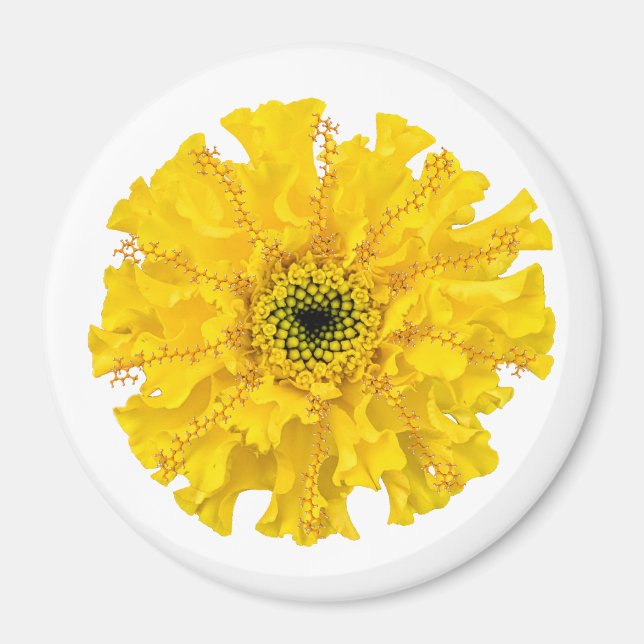 Blume Chemie Magnet Marigold (Vorne)