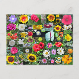 Blume Collage Postcard Postkarte