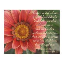 Blume Colossians 3