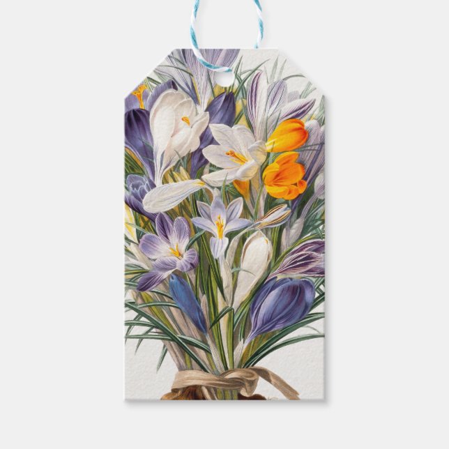 Blume Crocus Spring Botanische Blumenpracht Geschenkanhänger (Vorderseite)