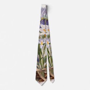 Blume Crocus Spring Botanische Blumenpracht Krawatte