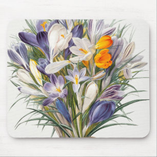 Blume Crocus Spring Botanische Blumenpracht Mousepad