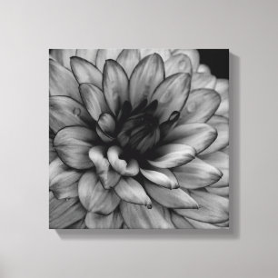 Blume Dahlia Leinwanddruck