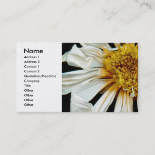 Blume - Daisy - Sonnenbettsonne Visitenkarte