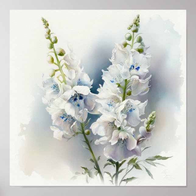 Blume Delphinium Poster (Vorne)
