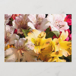 Blume der Alstroemeria Einladung