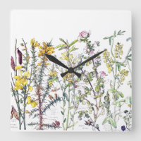 Blume der botanischen Wildblume