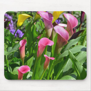 Blume der Calla Lilie Mousepad