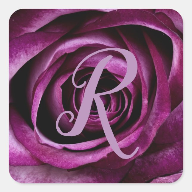 Blume der  der Petalen der lila Rose Quadratischer Aufkleber (Vorderseite)
