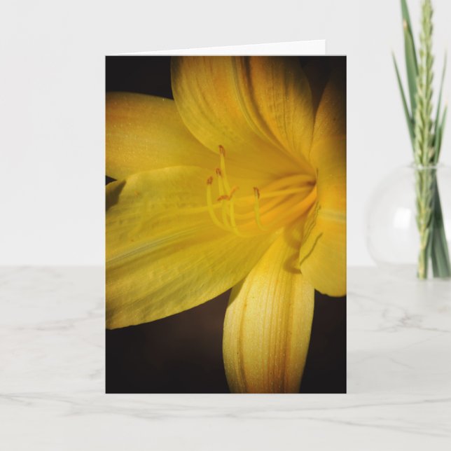 Blume der Gelben Tageslilie Highlight Karte (Vorderseite)
