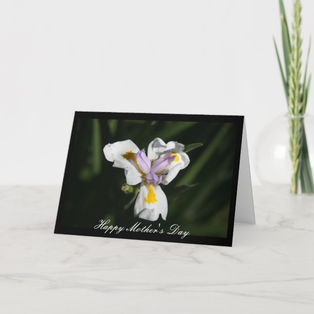 Blume der heiklen Mutter Karte (Vorderseite)