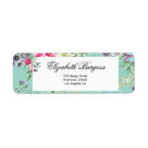 Blume der hübschen Rose