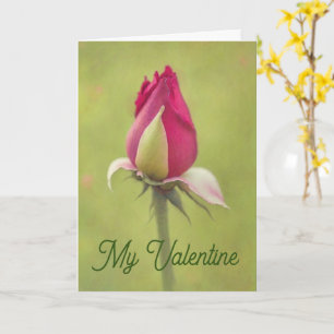 Blume der hübschen Rote Rose Bud Valentine Liebe C Karte
