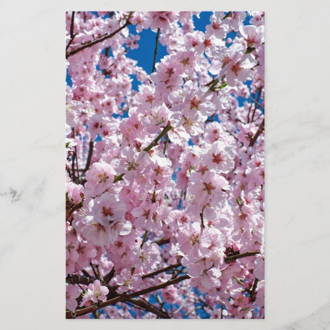 Blume der Japanischen Kirsche Briefpapier (Vorderseite)