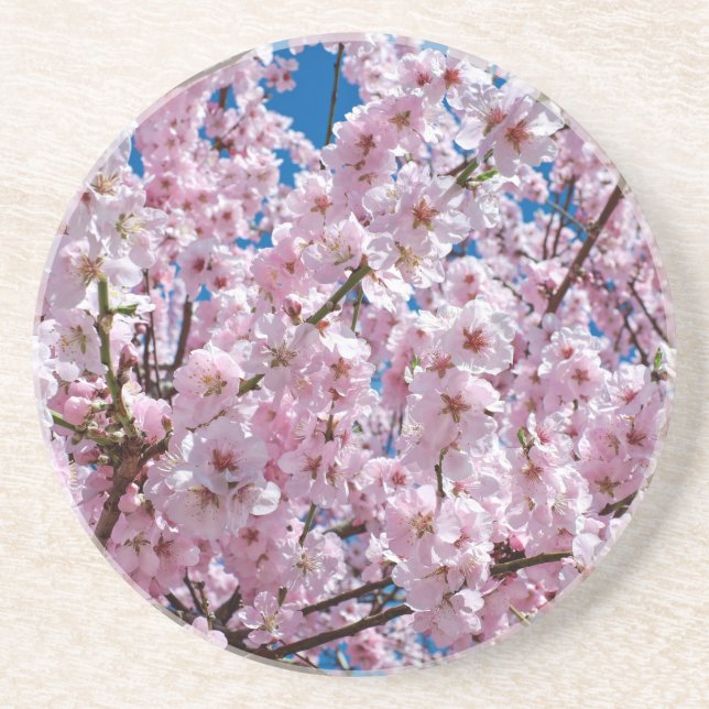 Blume der Japanischen Kirsche Getränkeuntersetzer (Vorne)