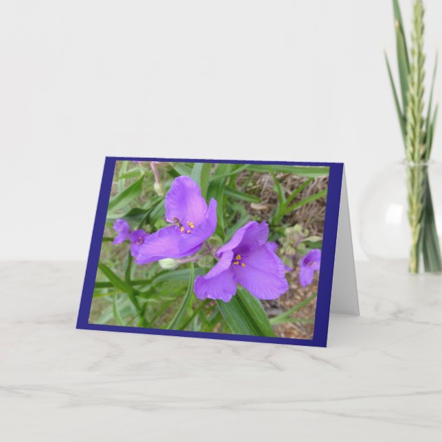 Blume der Kopfkiefer Karte (Vorderseite)